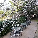 율리스 상트르