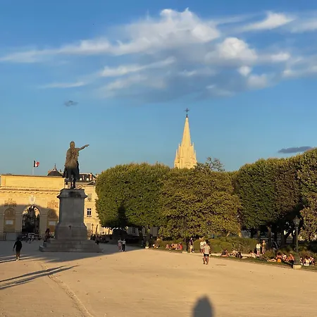 Hotel Ulysse Centre 3*