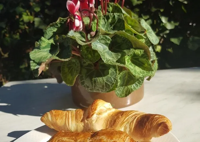 Ulysse Centre 3* Montpellier